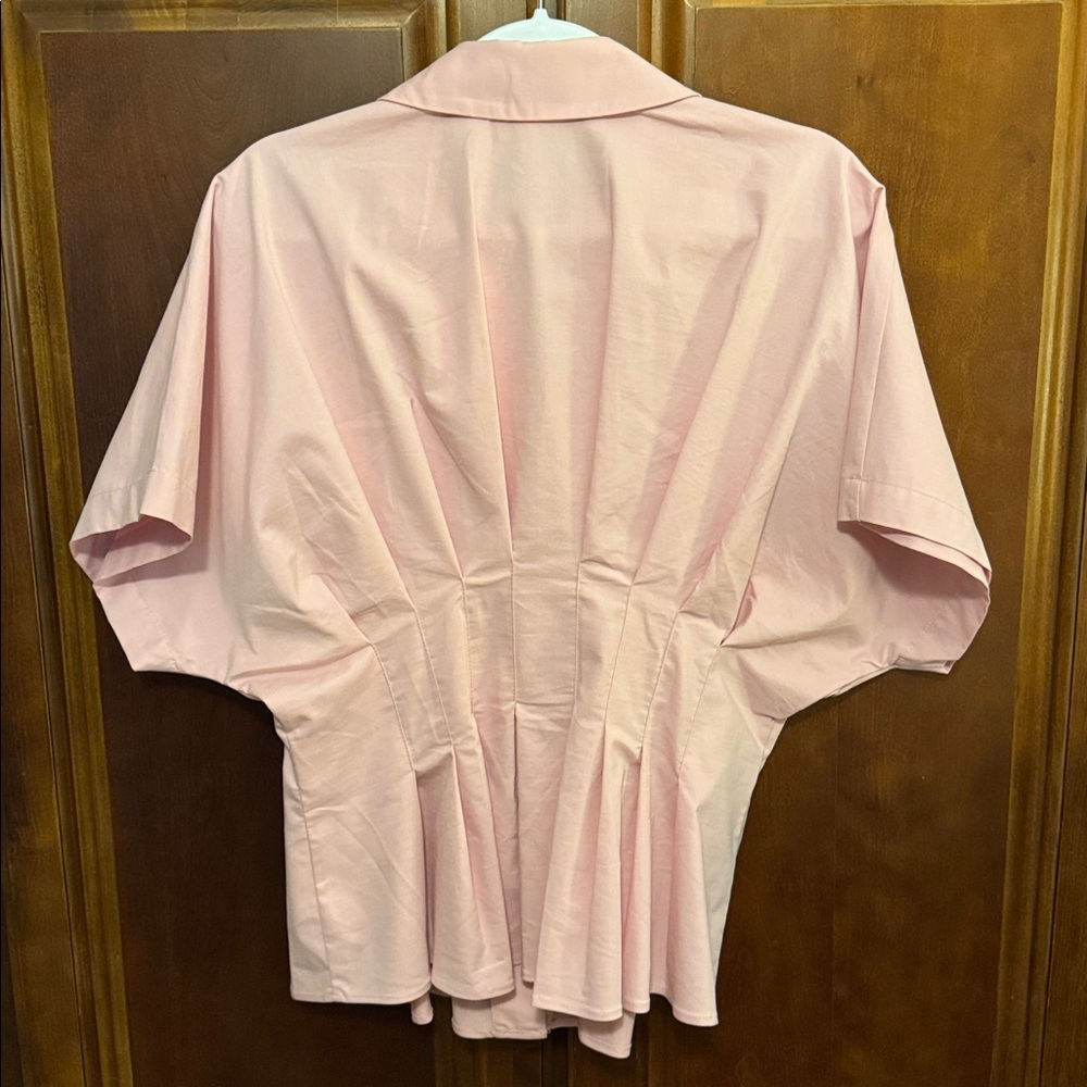 Exquise Georgia Shirt Pleated Waist Button-Up Blouse in Pastel Pink size 10 - Picture 6 of 8